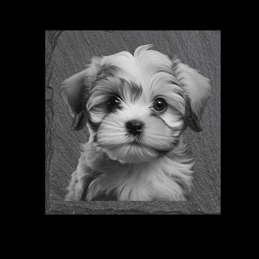 Shihtzu Slate Coaster set