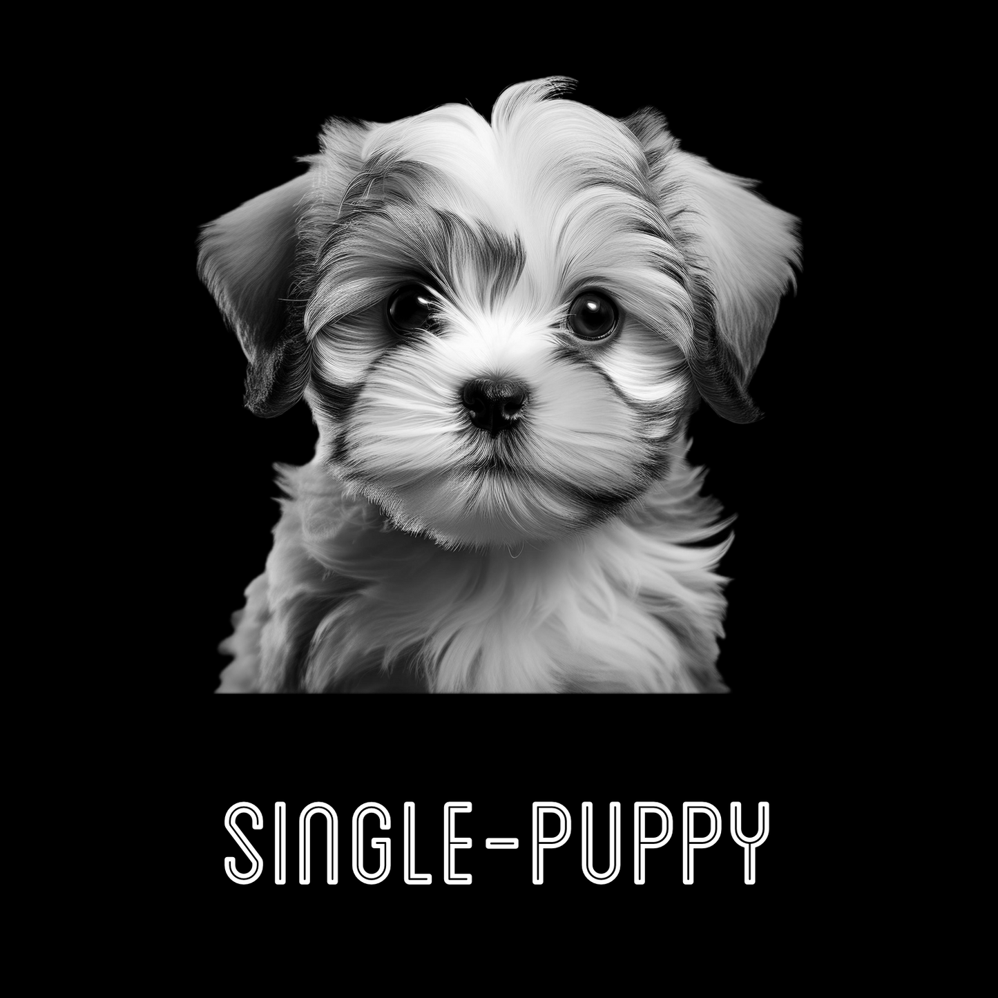 Shihtzu Slate Coaster set